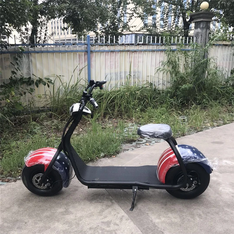 citycoco scooter 1500w