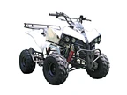 gas four wheelers