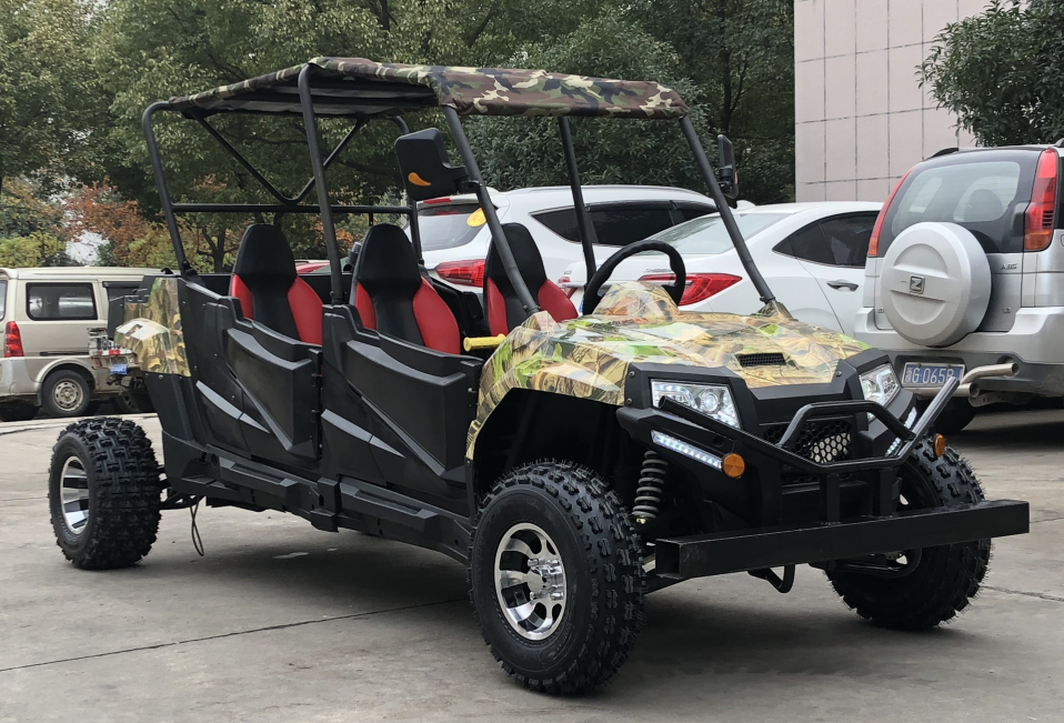 4 seater side by side with door
