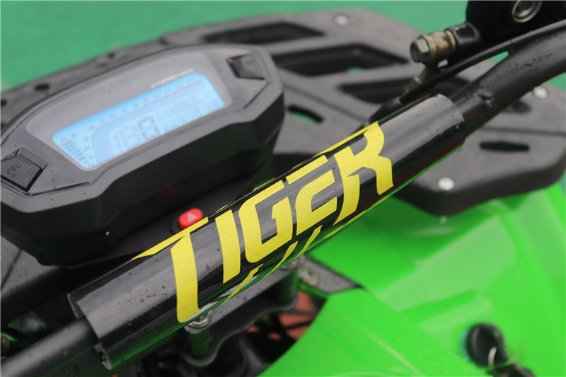 125cc atv bike with LCD meter