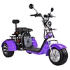 fat tire scooter citycoco