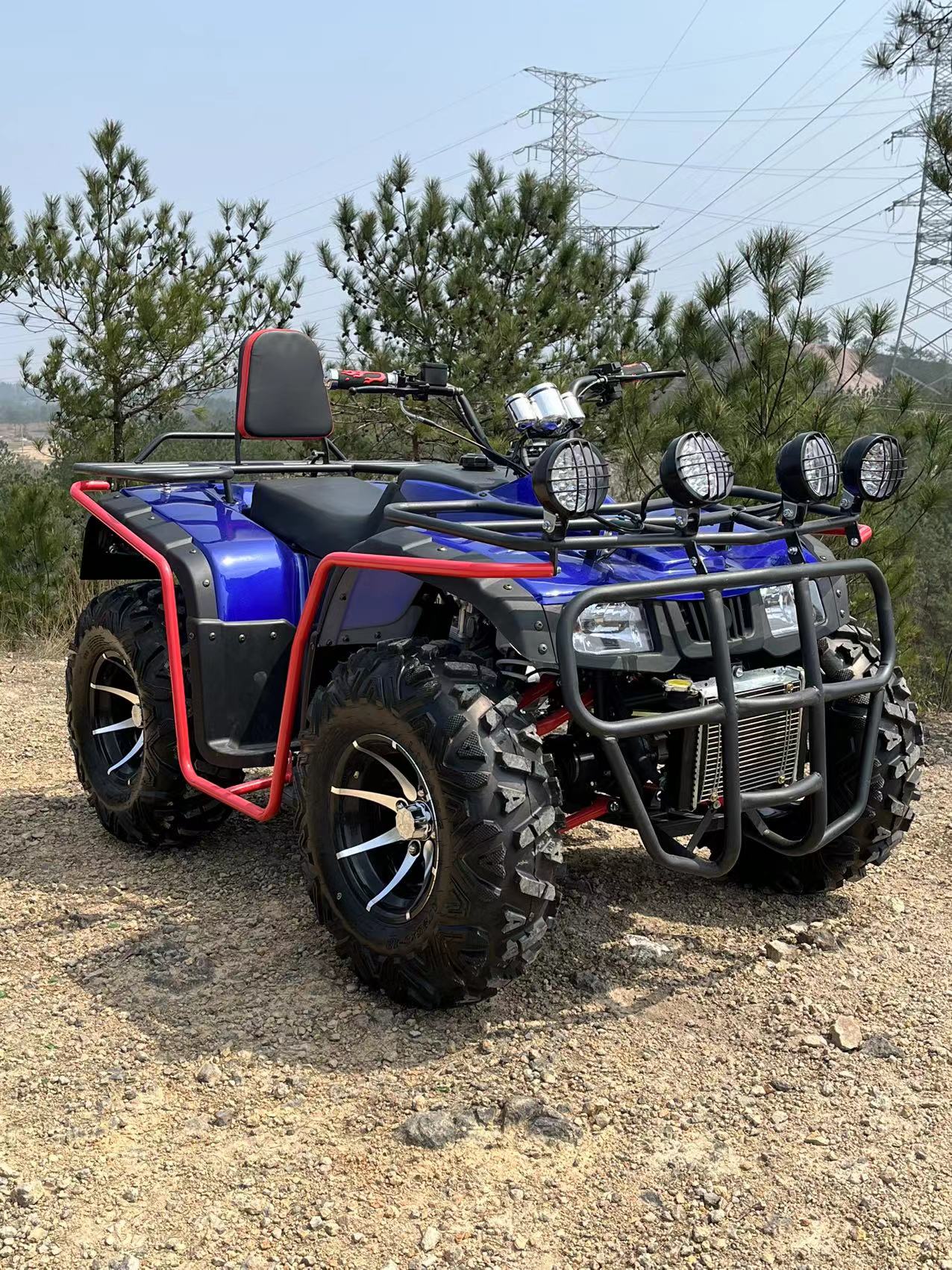 quad bike with disc brake