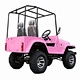 electric atv 3000w