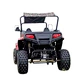 utv buggy