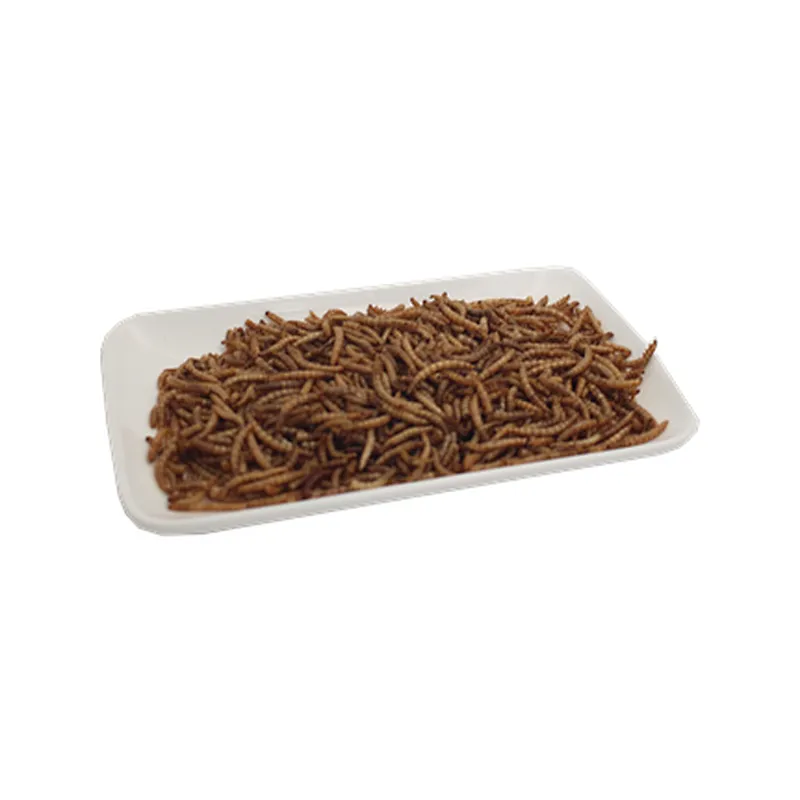 Dired mealworms
