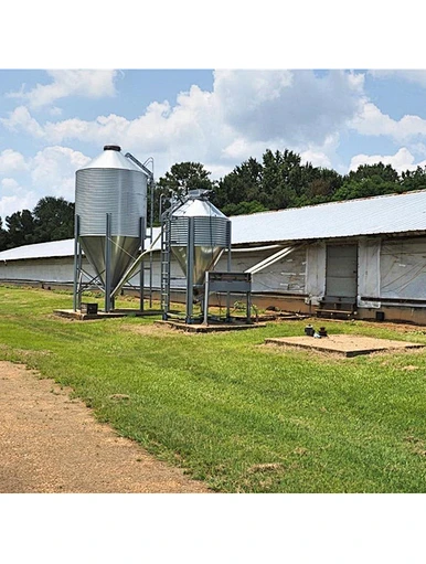 Hangar de poulet préfabriqué de structure métallique d'Assemblée facile pour la ferme avicole