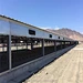 Hangar de poulet préfabriqué de structure métallique d'Assemblée facile pour la ferme avicole