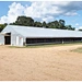 Hangar de poulet préfabriqué de structure métallique d'Assemblée facile pour la ferme avicole