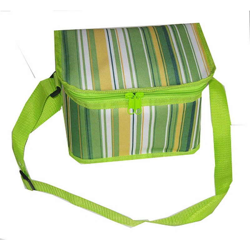 double layer cooler bag with handle
