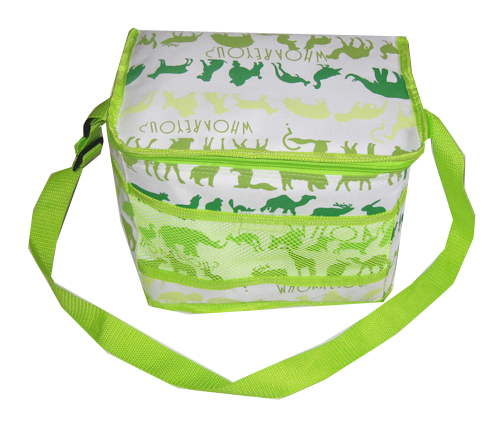 double layer cooler bag with handle