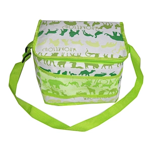 double layer cooler bag with handle