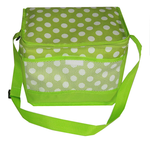 double layer cooler bag with handle