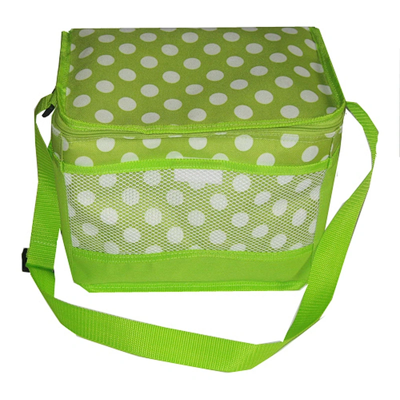 double layer cooler bag with handle