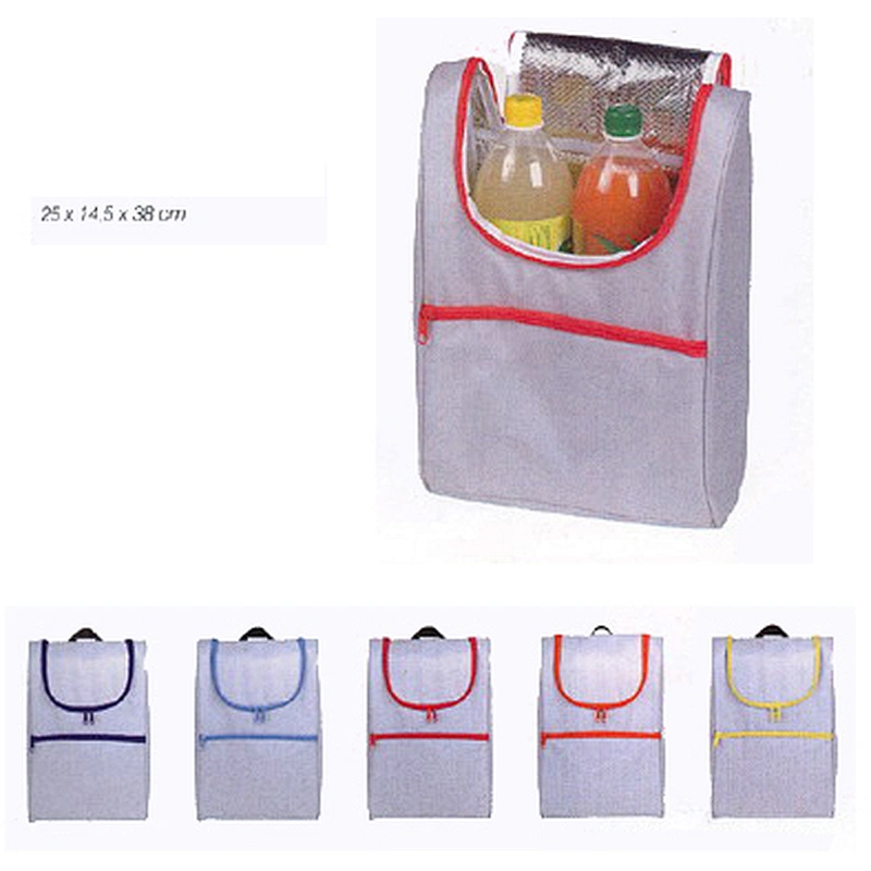 double layer cooler bag with handle