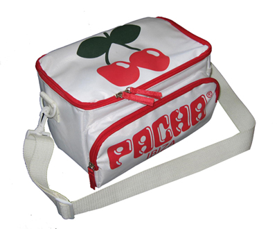 double layer cooler bag with handle