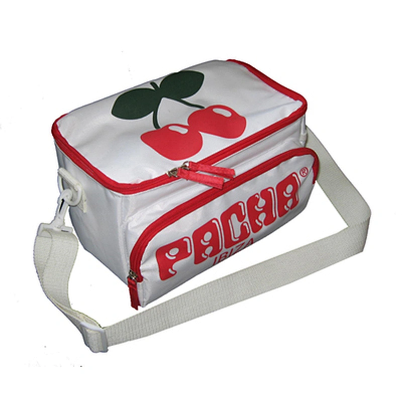 double layer cooler bag with handle