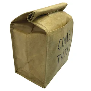 Lunch cooler bag