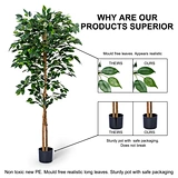 artificial ficus tree