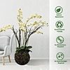 Fake Orchid