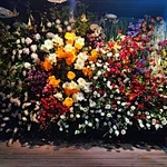 plant wall