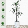 home and office decoration