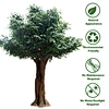 artificial banyan tree， artificial banyan tree
faux banyan tree， wholesale artificial plants
artificial succulent plants wholesale
artificial plants factory
artificial plants manufacturers
artificial plant supplier
artificial plants suppliers