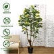 artificial Sunshine tree
