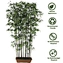 plants manufacturer artificial plants