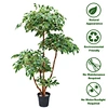 plants manufacturer artificial plants
