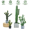 artificial cactus