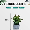 artificial succulents