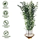 artificial green bamboo tree