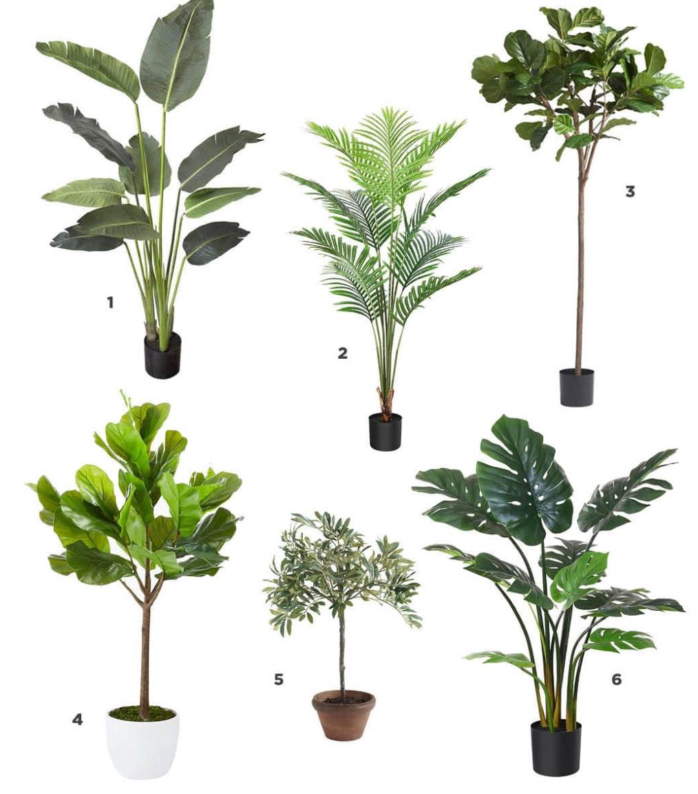 Best Fake Plants of 2022, Suggested by Haihong