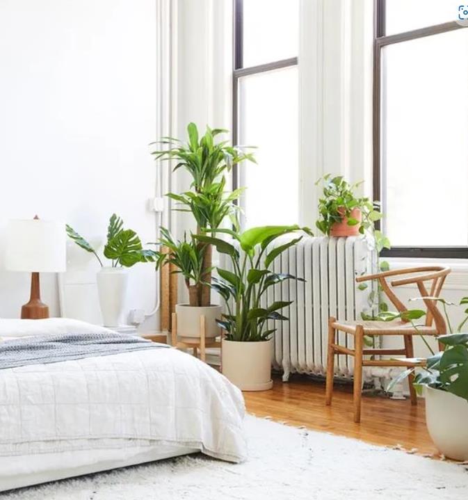 How to get a suitable artificial plant at home