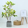 Artificial Red Mangrove Tree