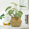 Artificial Philodendron plant