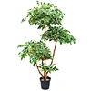 artificial ficus tree