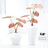 indoor decorative  trees