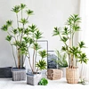 ornamental trees