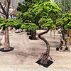 Customized Evergreen Ornament plant giant pine tree artificial bonsai trees pine trees
