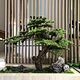 Custom Artificial Plant Decoration Large Landscaping Shaped Pine Tree Greenery facux tree pine