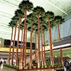 indoor artificial palm tree fake plant New Washington faux fan palm tree for landscaping decoration