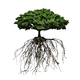 art shaped artificial hanging designed tree with visible root for art space decoration