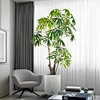 indoor plants tree