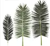 palm tree leaves