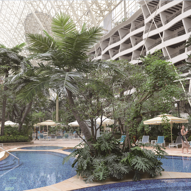 Project Sharing: Chengdu Global Center
