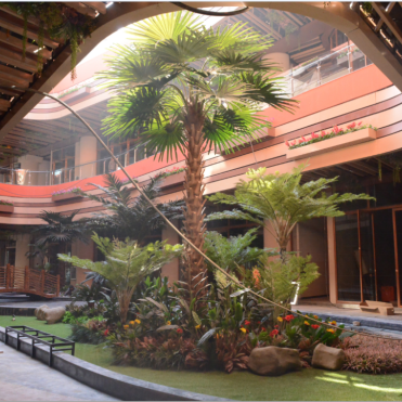 Kunming Dianchi International Convention and Exhibition Center （Haihong Artificial Plant & Landscaping Project Sharing）