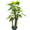 Artificial Taro Plants