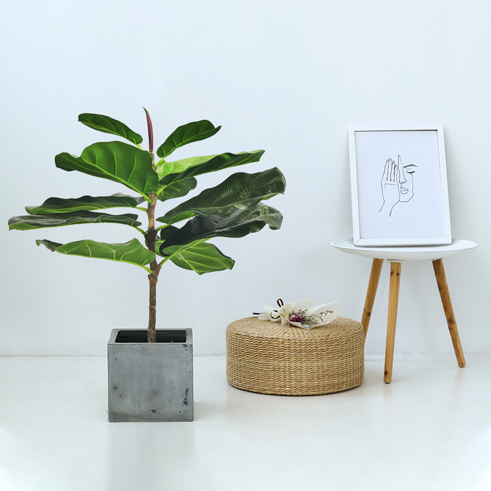 Warning: Potential Safety Hazard of Artificial Plants （Purchase the aritificial plants coated with flame retardant!)