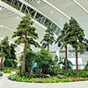 Fake Cypress Tree， fake alpine trees
， alpine artificial trees
artificial alpine trees， artificial pine trees
artificial pine tree
fake pine tree